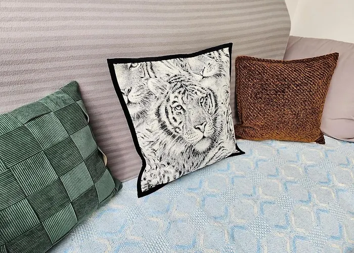 Large Air-conditioned For 7 People, Free Parking 巴黎